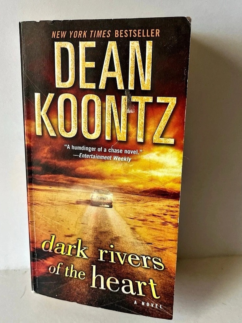 Bantam Books Dark Rivers of the Heart Paperback Novel